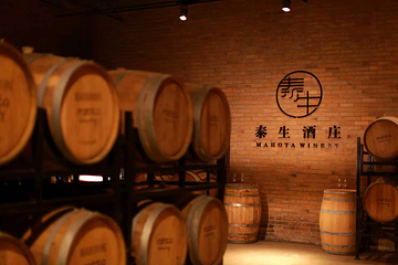 泰生小镇旅游景区第 10 张图片