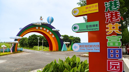 洋港村第 1 张图片