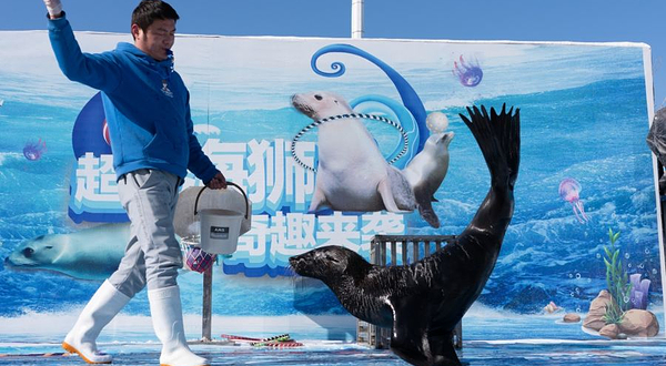 金沙滩啤酒城梦幻雪世界