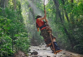 西双版纳基诺山雨林徒步第 13 张图片