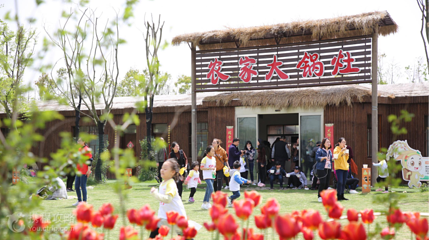 七彩阜宁农业公园第 3 张图片