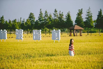 林渡暖村第 24 张图片