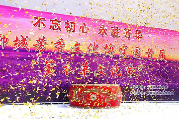 聊城芳香文化博览园第 20 张图片