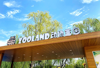 ZooLand动物王国第 31 张图片