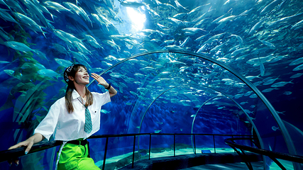上海海洋水族馆第 12 张图片