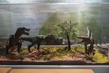 新琅琊恐龙展-《人与生物学》展学空间第 10 张图片