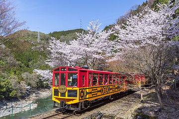岚山嵯峨野观光小火车第 13 张图片