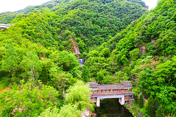 南山不老谷景区第 33 张图片