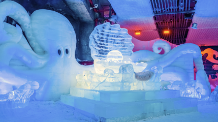 无锡热雪奇迹第 31 张图片