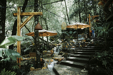 龙岩森林水乡景区第 41 张图片