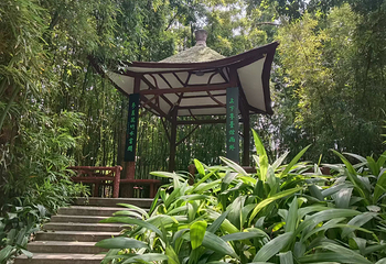 广州兰圃第 21 张图片
