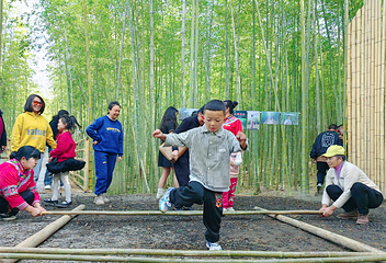 峨山彝人谷竹海景区第 8 张图片