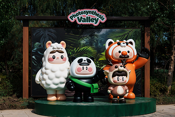 光合谷旅游度假区第 41 张图片