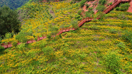 钱来山景区第 78 张图片