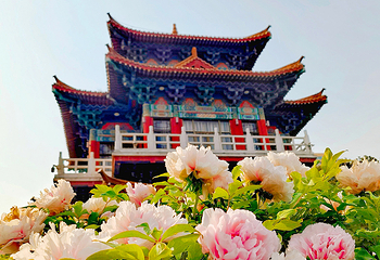王城公园第 5 张图片