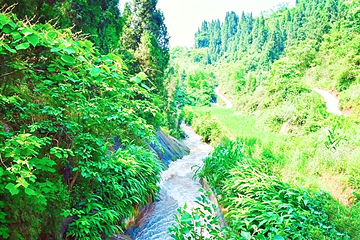 重庆九龙峡漂流第 9 张图片