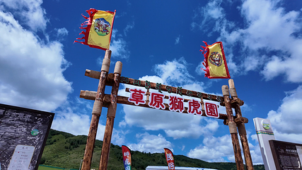 乌兰布统草原狮虎园第 7 张图片