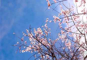 乌金山旅游区第 11 张图片