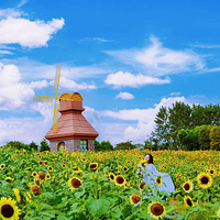 杭州湾海上花田