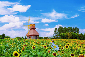 杭州湾海上花田