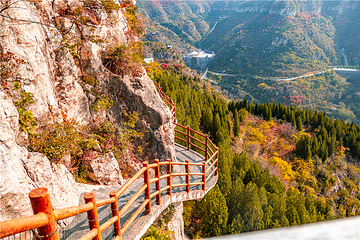 青铜山大峡谷第 59 张图片