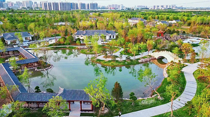 太行盆景园第 9 张图片