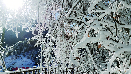大别山滑雪旅游度假区第 34 张图片