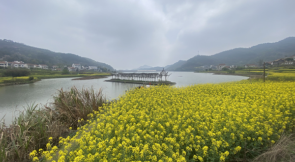 湖北大冶·桃花源里沉浸式水上漫游演出