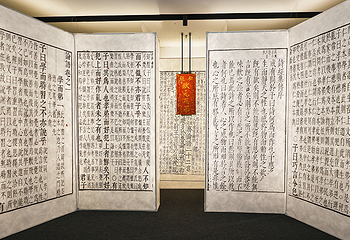 乐观博物馆(长百店)第 11 张图片