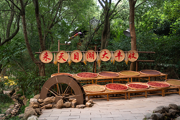 天目湖山水园第 54 张图片