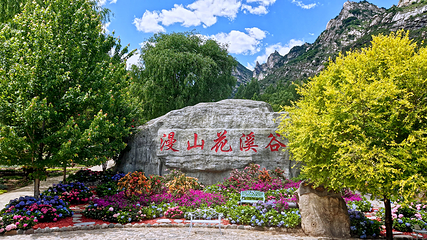 漫山花溪谷第 1 张图片