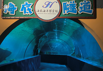 南充海昌海洋探索馆第 19 张图片