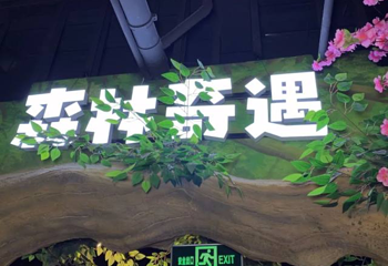 吉克森林动物王国第 32 张图片
