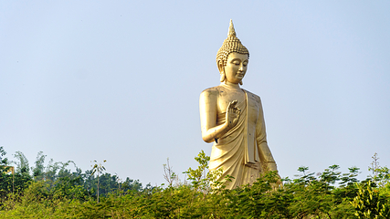 西双版纳勐泐文化旅游区第 43 张图片