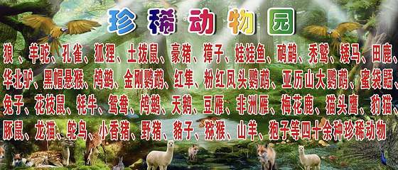 两栖爬行动物馆第 12 张图片