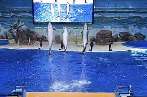 赣州极地海洋世界