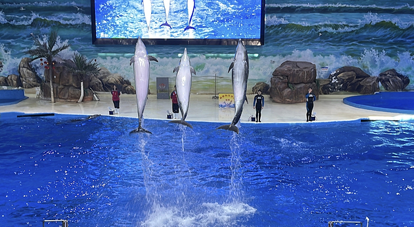 赣州极地海洋世界