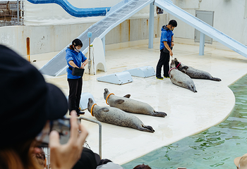 小樽水族馆第 6 张图片