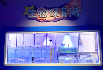 襄阳海洋世界第 31 张图片