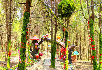 龟山景区(龟山望龙洞风景区)第 20 张图片