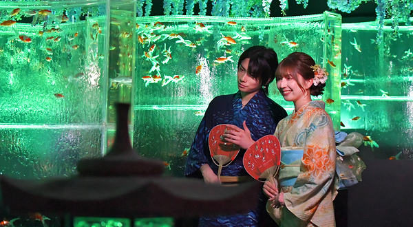 银座艺术水族馆美术馆