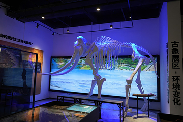 新琅琊恐龙展-《人与生物学》展学空间第 4 张图片