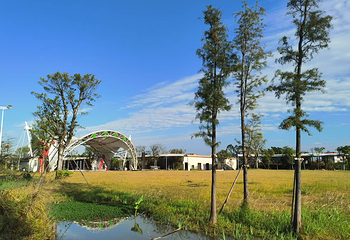 江门古劳水乡旅游区第 34 张图片