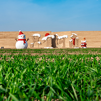 只有河南·戏剧幻城