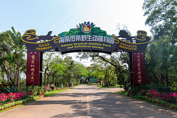 海南热带野生动植物园第 30 张图片