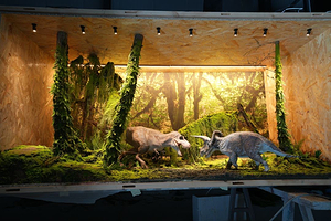 AURORA极光·光影艺术中心