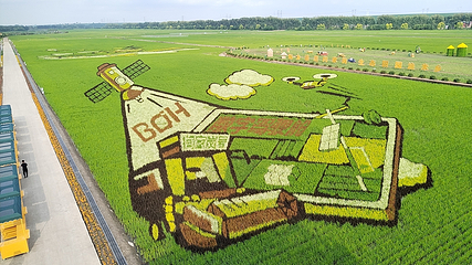 闫家岗稻田画第 9 张图片