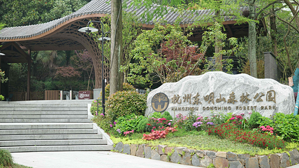 东明山森林公园第 1 张图片