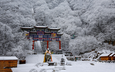 老君山景区第 36 张图片