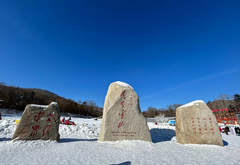 大秃顶子山第 45 张图片